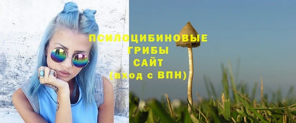 крисы Магадан