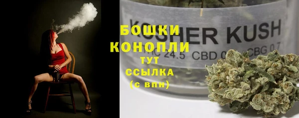 дмт Алзамай