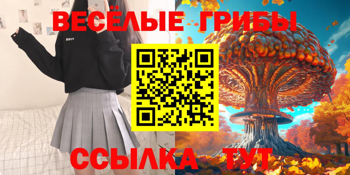 Псилоцибиновые грибы Psilocybine cubensis  Галлюциногенные грибы прущие грибы  Находка  Вход с VPN 
